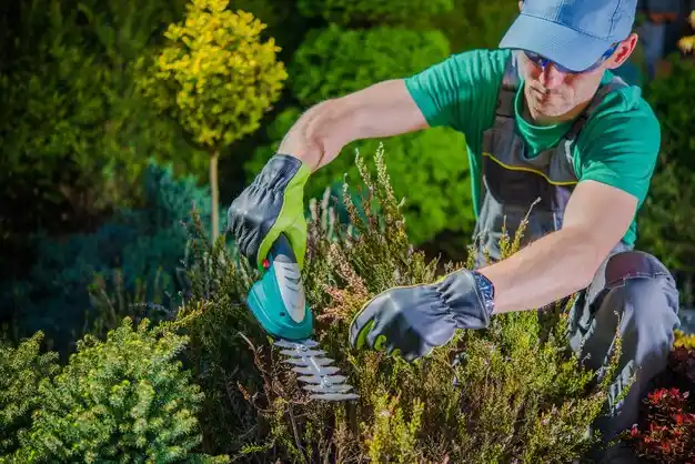 landscaping services Pleasant Ridge